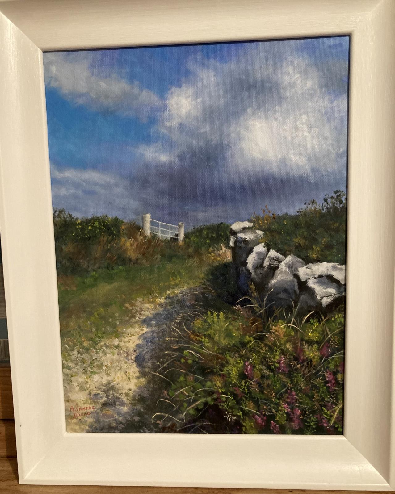 Sherkin Island shadows 